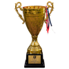 Sieger Liga Evolución U15