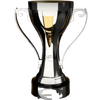 OFC Professional League-Sieger