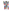 Englischer Drittligameister 2026 Englischer Drittligameister 2026