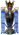 Engels kampioen
