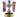 Indian Super League Champion