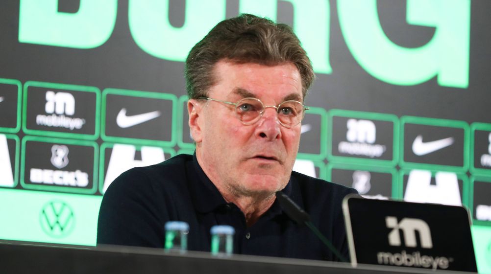 VfL Wolfsburg: Hecking könnte Sportchef werden – Drei Trainerkandidaten