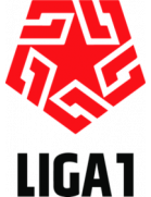 Liga 1 Playoffs