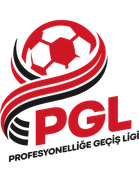 Profesyonelliğe Geçiş Ligi Playoff