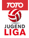 ÖFB Jugendliga U17 (- 2010)