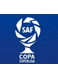 Copa Superliga (-19/20)