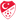 Süper Lig Reserve Liga