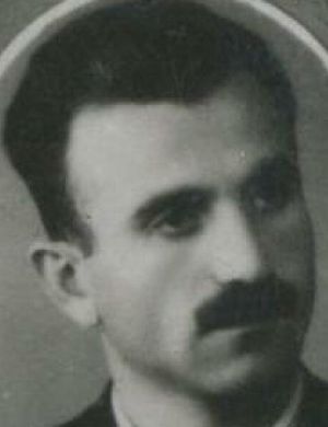 Otari Alavidze