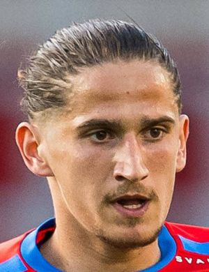 Ervin Gigović