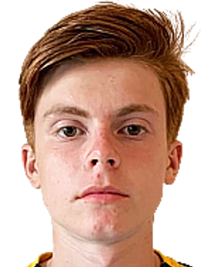 Nikita Marjinskiy Spielerprofil Transfermarkt