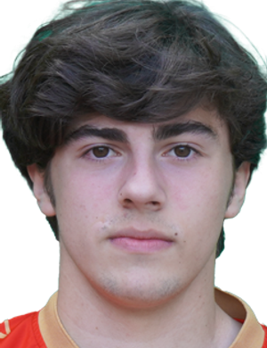 Djordje Skocajic