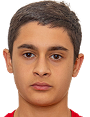 Karen Hovakimyan