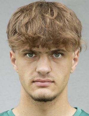 Emil Safer
