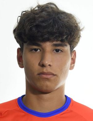Ángel Borgo