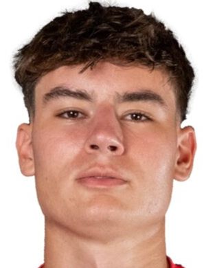 Ivan Smiljanic - Player profile 24/25 | Transfermarkt