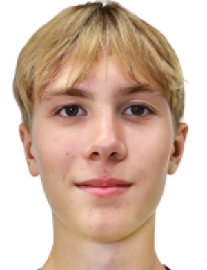 Artem Vostrodymov