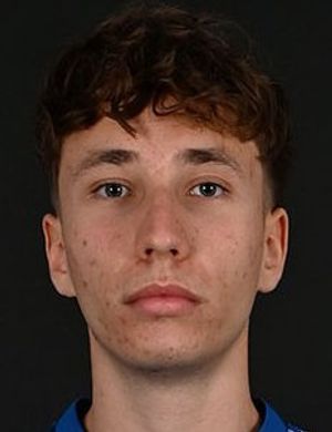 Luca Handl