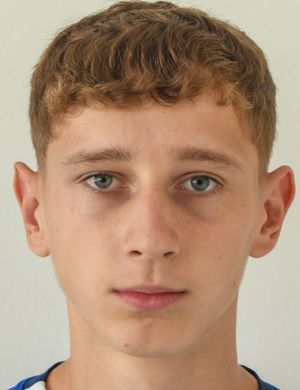 Bozidar Dimitric