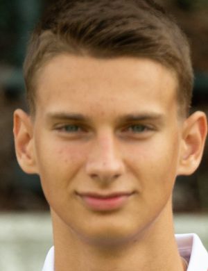 Aleksandar Ljujic