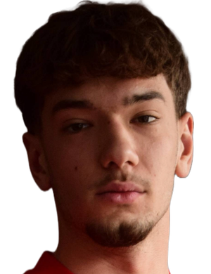 Stjepan Zulj