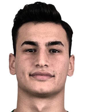 Halil Hamamcıoğlu