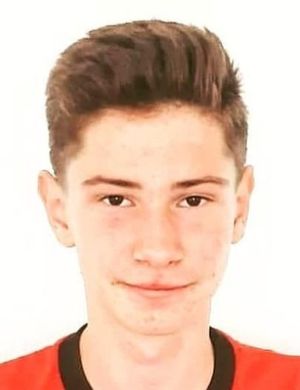 Alper Yerli