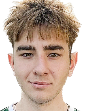Andrey Gusikhin