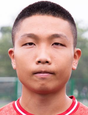 Hoi-Leong Harry Cheung