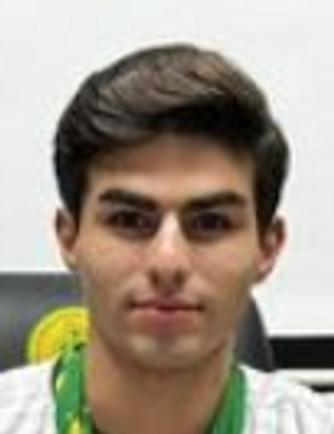 Ege İbişoğlu