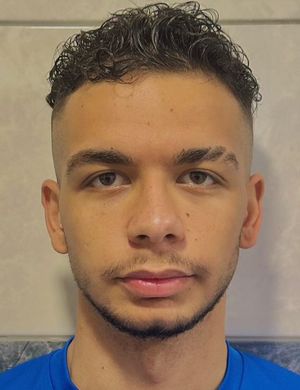 Sertaç Mert Becerik