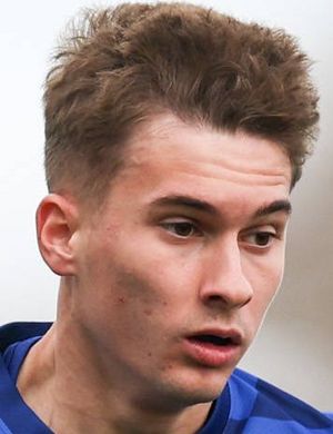 Luka Vrzic