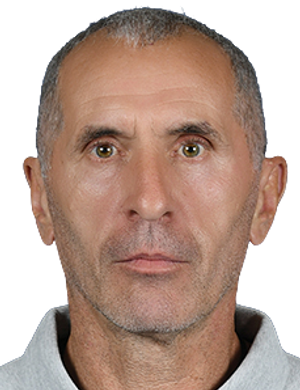 Sinisa Gogic