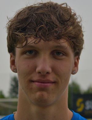 Niklas Hollerer