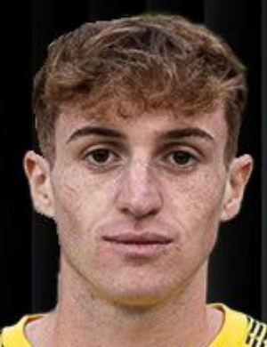 Matteo Dubini