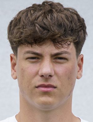 Lukas Zadrazil - Player profile 25/26 | Transfermarkt