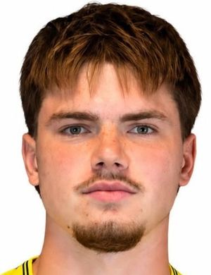 Niklas Dortmann