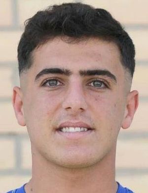 Mohammad Alinejad