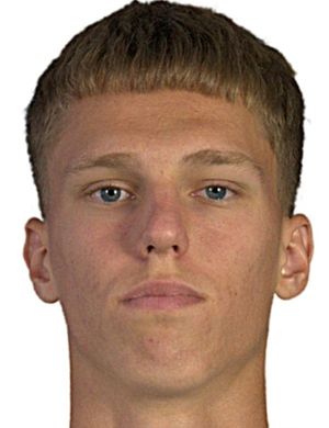Strahinja Vasilic