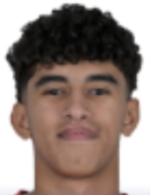 Ibrahim El Nagaawy