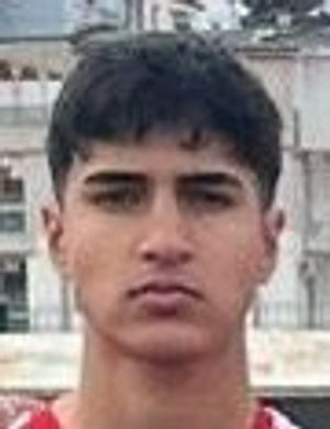 Furkan Alp Harım