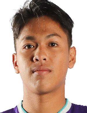 Zulfan Djiaulhaq