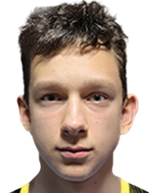 Nikita Artemov