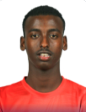 Ahmed Hussein Ahmed