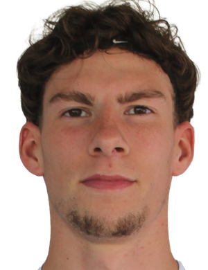 Fabian Brall