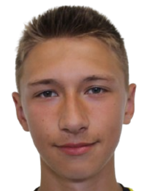 Vitaliy Gayvan