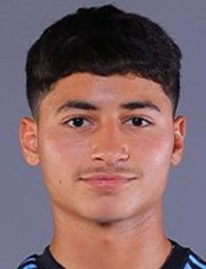 Anas Mahmoud