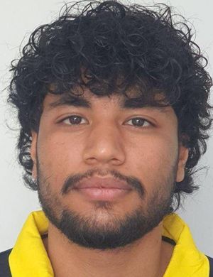 Hesam Pourmohiseni