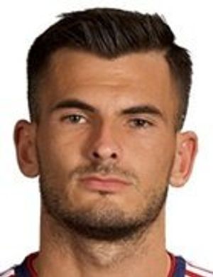 Szilveszter Hangya