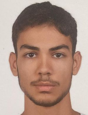 Arda Ege Alkın