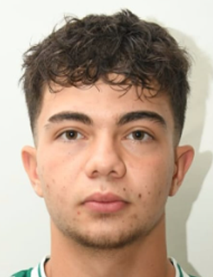 Efe Sevim